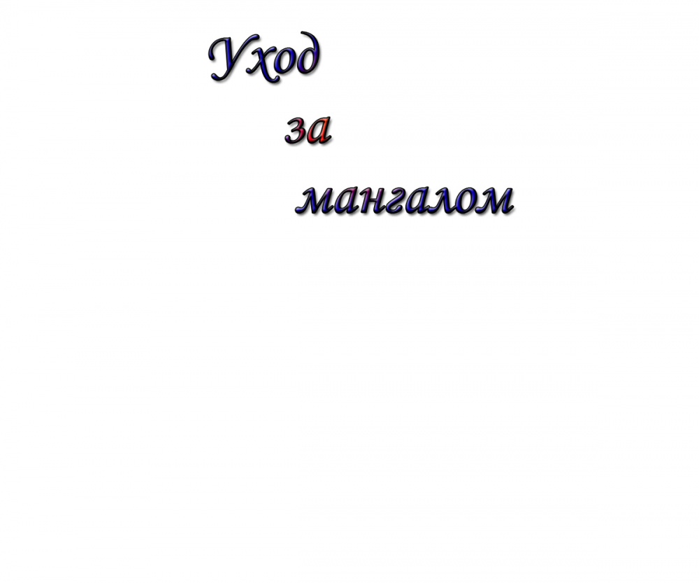 Уход за мангалом