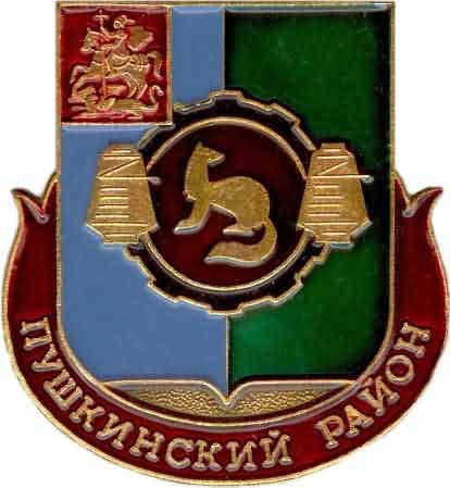 Пушкинский район