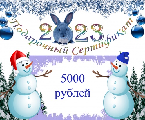 Подарочный сертификат № 31 