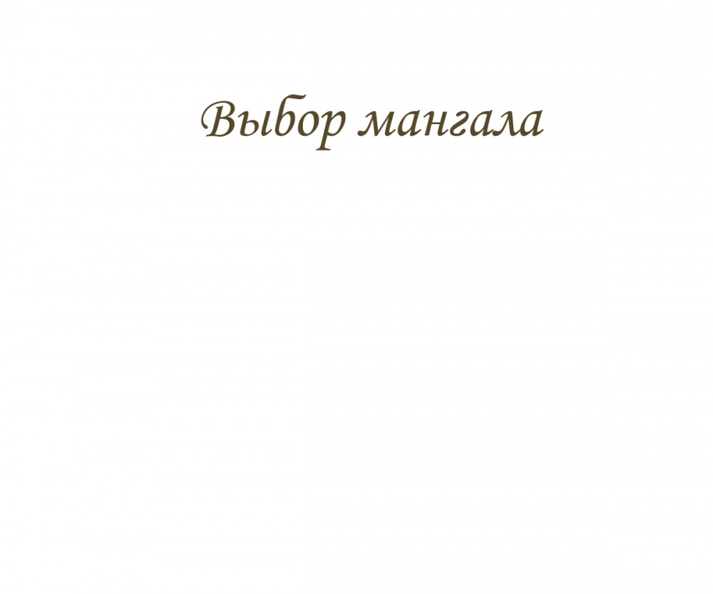Выбор мангала